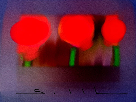 3 Balloons - Greeting Card - GallaherGallery.com