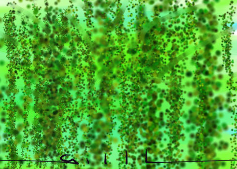 Bamboo Forest - Greeting Card - GallaherGallery.com