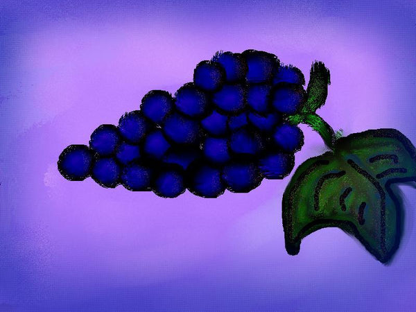 Grape - GallaherGallery.com