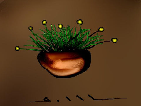Green Grass and Blooms - GallaherGallery.com