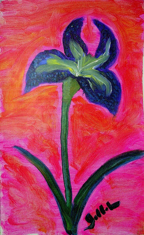 Joan's Iris - Greeting Card - GallaherGallery.com