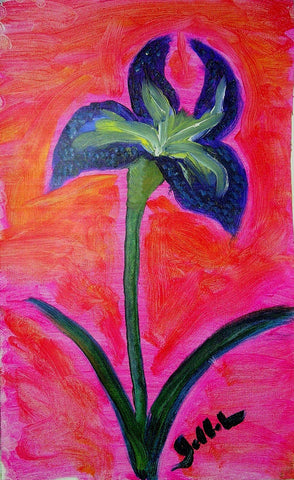 Joan's Iris - GallaherGallery.com