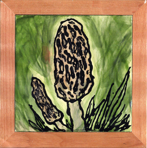 Morels - GallaherGallery.com