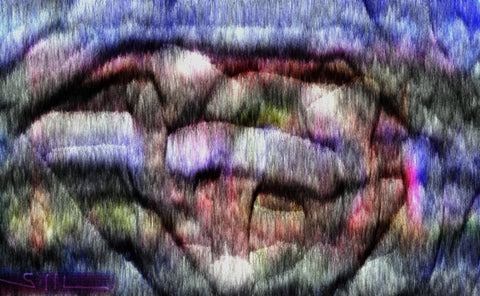 Cat Rock - GallaherGallery.com