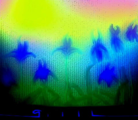 Iris Dreams - GallaherGallery.com
