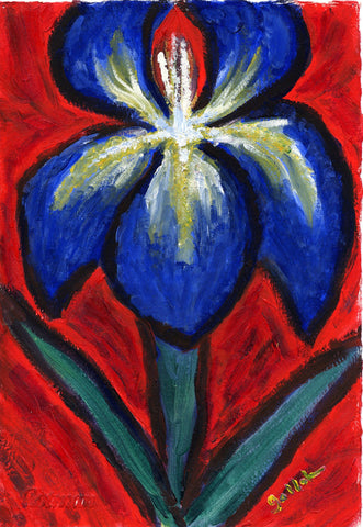 Vibrant Iris - GallaherGallery.com