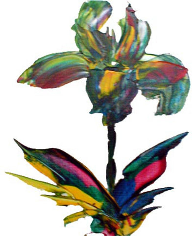Canadian Wild Iris - Greeting Card - GallaherGallery.com