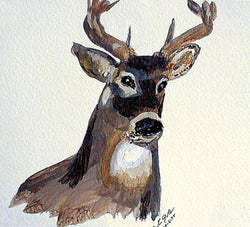 Deer - Greeting Card - GallaherGallery.com