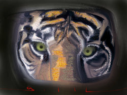 Eyes of the Tiger - GallaherGallery.com