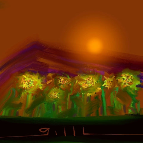 Sunflower Fields - Greeting Card - GallaherGallery.com