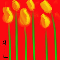The Tulips -  Greeting Card - GallaherGallery.com