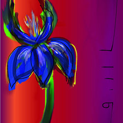 The Lighted Iris- Greeting Card - GallaherGallery.com
