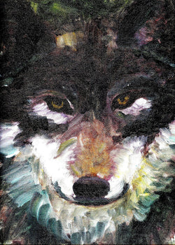 Wolf - Greeting Card - GallaherGallery.com